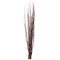 Uniquewise 12 pcs Natural Decorative Dry Branches Authentic Sticks, Home Decoration and Wedding Craft, DIY Greenery Plants Craft Vases fillers Garden Hotel Farmhouse Decor